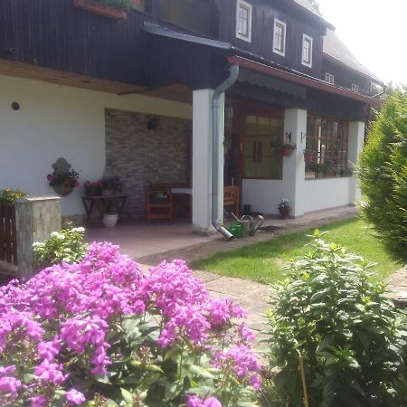 Ubytovani U Sviraku Srbska Kamenice Luaran gambar